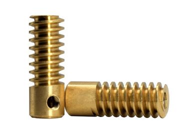 CNC Machining Brass Worm Gear Screw Type1 Lead 0.5 Module AGMA 7